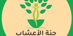 مطلوب موظفة علاج طبيعي لدى جنة الأعشاب – فلسطين
