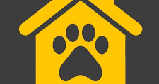 مطلوب موظفة لدى Pet Hut في رام الله